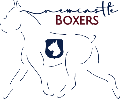 Newcastle Boxers